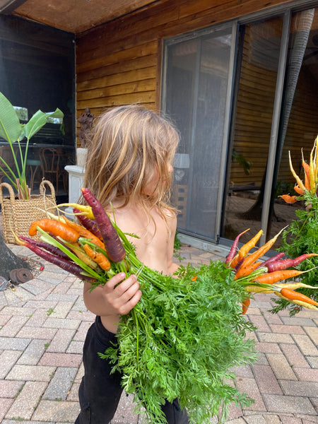 Ken’s sun dried carrots benefits